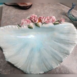 Large sea shell